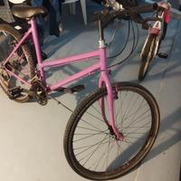 Mountain Bike da Ragazza 