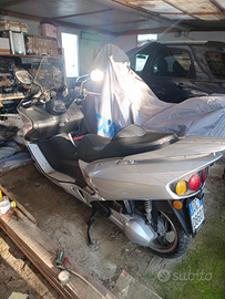 Scooter WT motors Miami 250