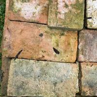 Tavelle per soffitti o pavimenti