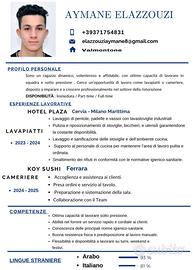 Lavoro come lavapiatti