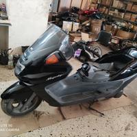 Ricambi yamaha majesty 250 dx