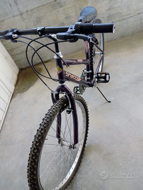 Bicicletta mountanbike