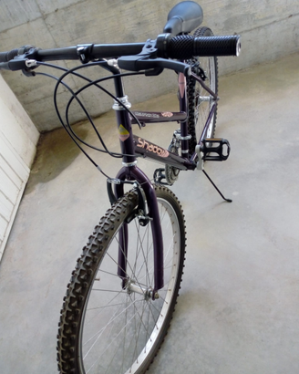 Bicicletta mountanbike