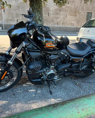 HD Nightster 975 Special