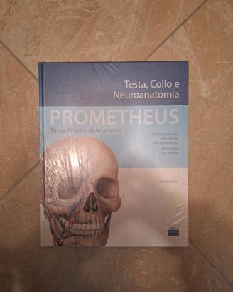 prometheus anatomia terza edizione 