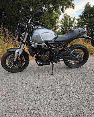 moto Voge trofeo acx 300 scrambler motocicletta 