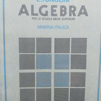 Algebra vol. 1 - per le scuole medie superiori