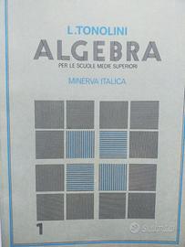 Algebra vol. 1 - per le scuole medie superiori