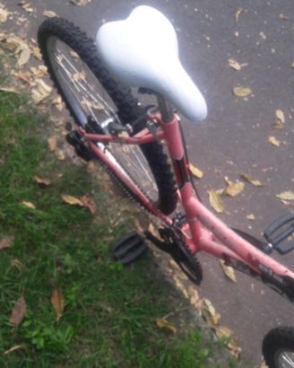 Bici mtb ruota 26
