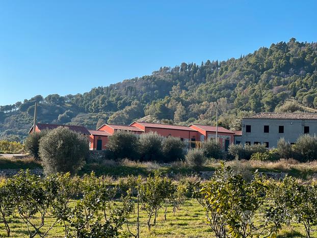 Terreno edificabile zona centrale con rudere