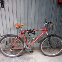 bici Kastle Mountain bike 
