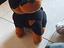Immagine 2