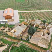 Azienda Agricola - Vittoria