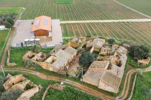 Azienda Agricola - Vittoria