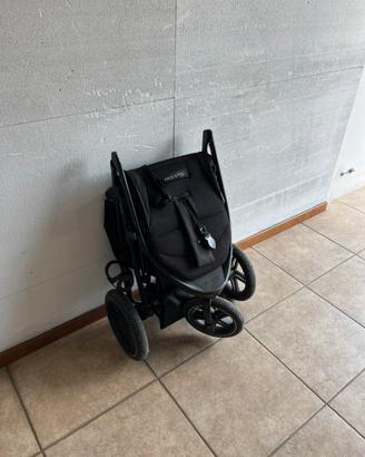 Passeggino