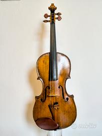violino fine 800