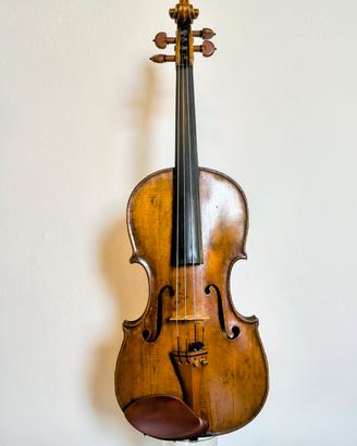 violino fine 800