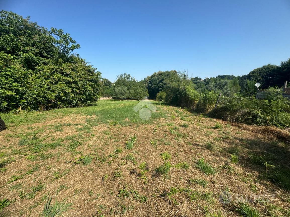 TER. AGRICOLO A SAN CESAREO - Altro