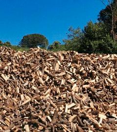 legna da ardere secca 