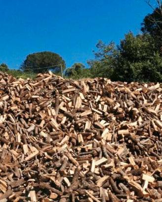 legna da ardere secca 
