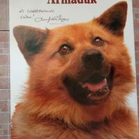 Poster autografato Ambrogio Fogar