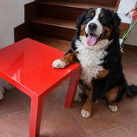 Tavolino IKEA LACK rosso lucido