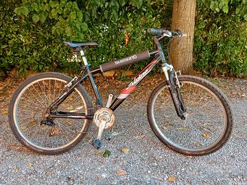 Bici mountain bike Alpina