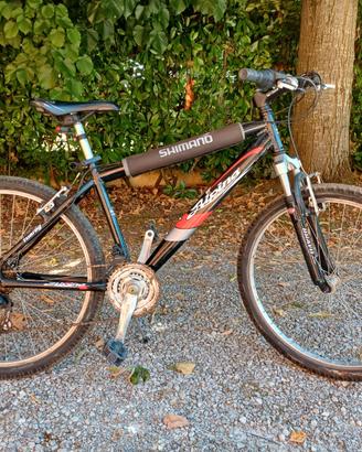 Bici mountain bike Alpina