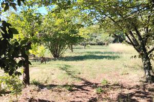 Terreno di 2600mq località calvi Risorta