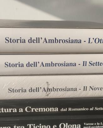 Volumi di pittura in Lombardia