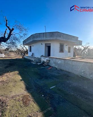 S.marzano di s.g. (ta) villa ind. su unico livello