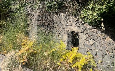 Terreno con casolare e alberi di ulivo