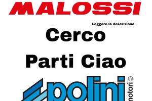 C.E.R.C.O parti ciao piaggio