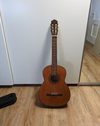 chitarra Ferrarotti