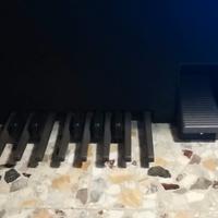 organo due  tastiere farfisa