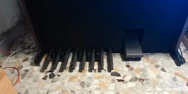 organo due  tastiere farfisa