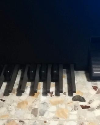 organo due  tastiere farfisa