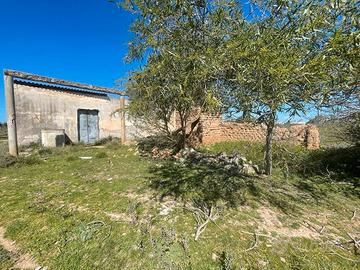 Terreno agricolo con rudere ed edificabile 100 mq