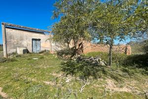 Terreno agricolo con rudere ed edificabile 100 mq