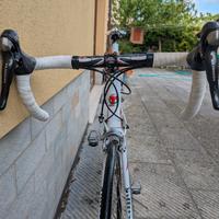 bici tommasini rapido carbonio