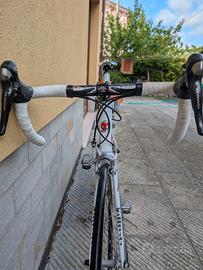 bici tommasini rapido carbonio