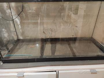 acquario 80 litri 