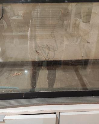 acquario 80 litri 