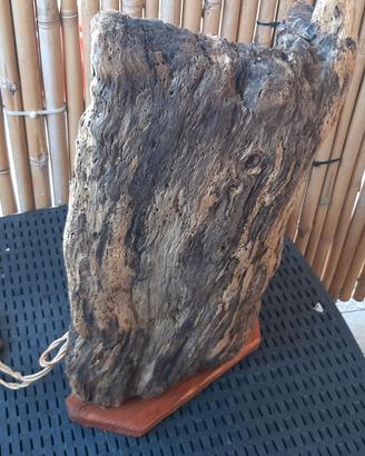 LAMPADA CON LEGNO 
