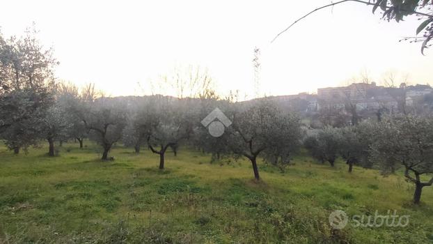 TER. AGRICOLO A BENEVENTO