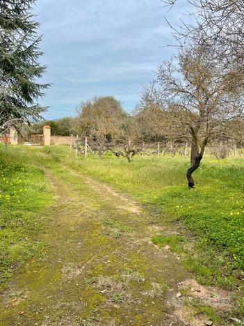 Terreno con fabbricato 500 metri da alghero