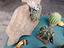 Immagine 3