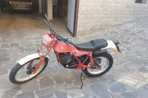fantic 300