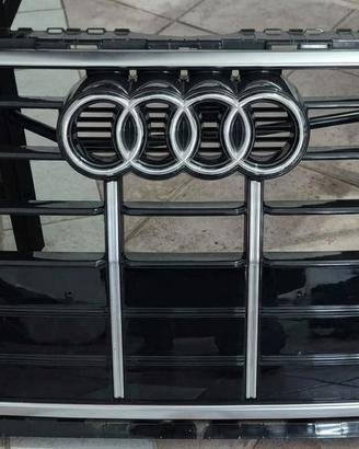 Adi Q5 Sportback - griglia e modanature