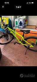 Bicicletta